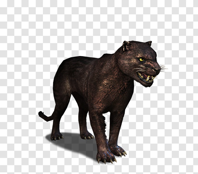 The Witcher 3: Wild Hunt Cougar Black Panther Panthera - Fauna Transparent PNG