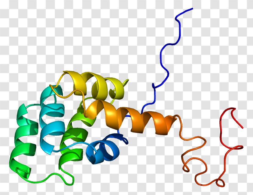 Fas Receptor Autoimmune Lymphoproliferative Syndrome TNF Superfamily Death Domain - Tumor Necrosis Factor - Organism Transparent PNG