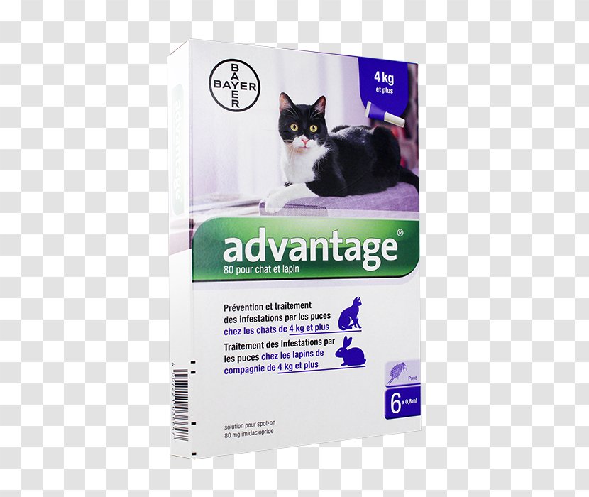 Cat Flea Dog Treatments - Veterinarian Transparent PNG