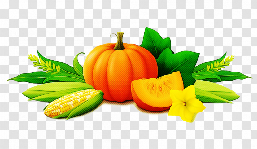 Pumpkin Transparent PNG