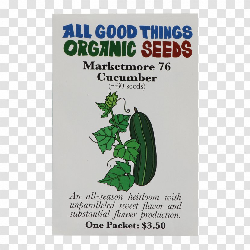 Organic Certification Genovese Basil Holy Herb - Cucumis Sativus Transparent PNG