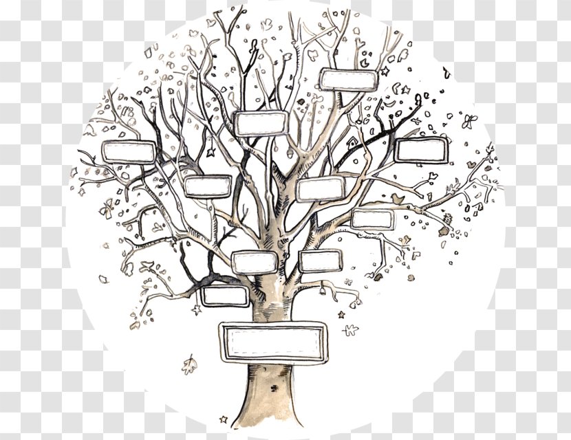 Family Tree Genealogy Template Ancestor Transparent PNG