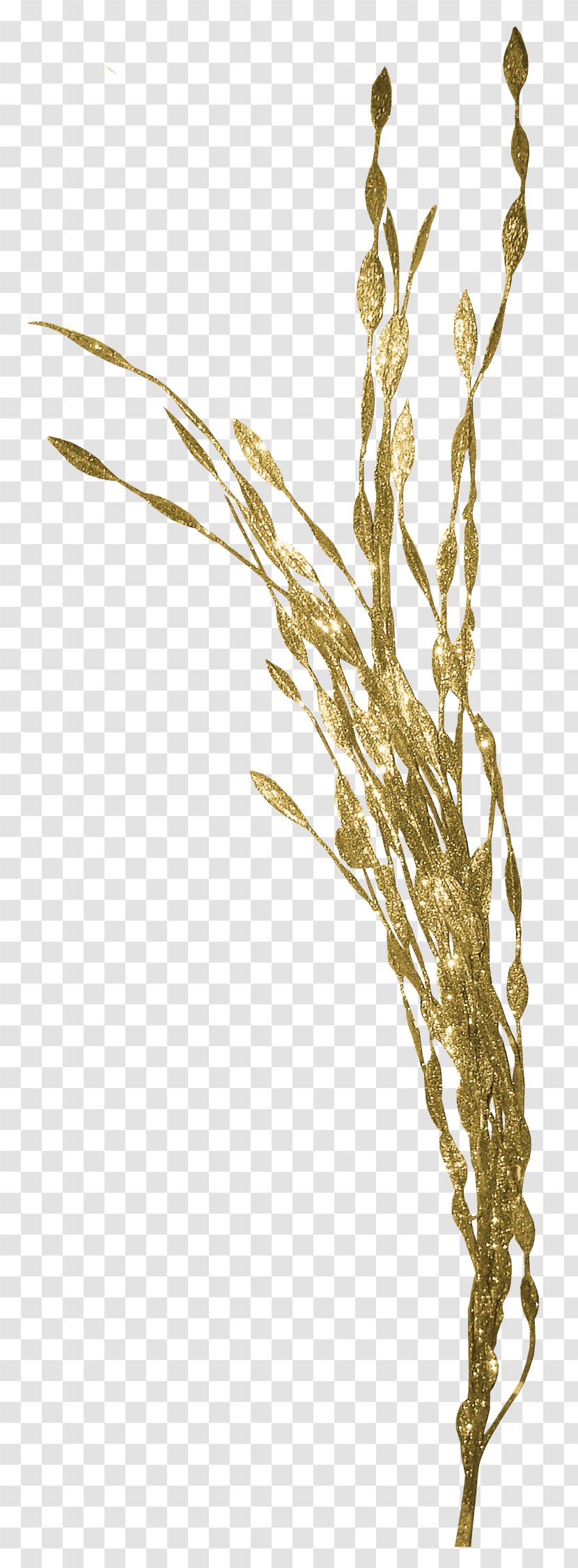 Clip Art Seagrass Aquatic Plants Seaweed - Grass - Romantic Settings Transparent PNG