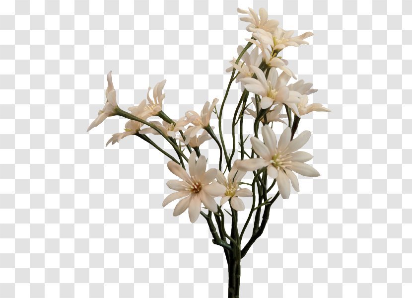 Sea Aster Cut Flowers Artificial Flower Plant Stem - Branch Transparent PNG