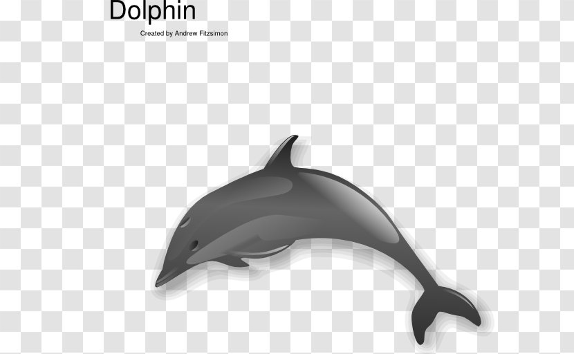 Common Bottlenose Dolphin Short-beaked Tucuxi White-beaked Clip Art Transparent PNG