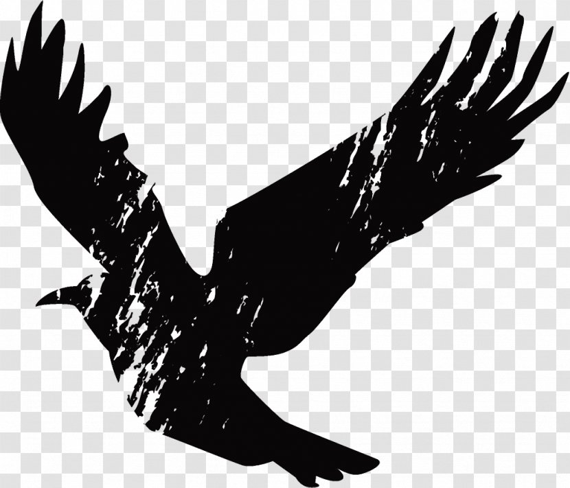 Raven Halloween Crow - Blackandwhite Claw Transparent PNG
