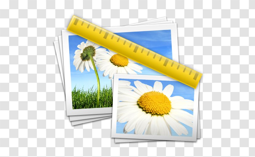Lossless Compression Computer Software MacOS ISO Image - Macos - Sun Aperture Transparent PNG
