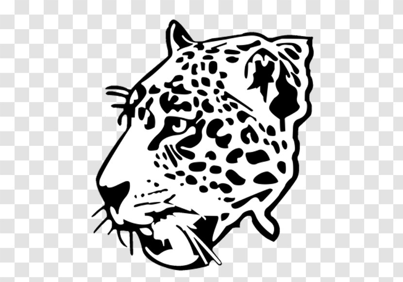 Jaguar West Florida High School Leopard Tiger Cheetah - Line Art Transparent PNG