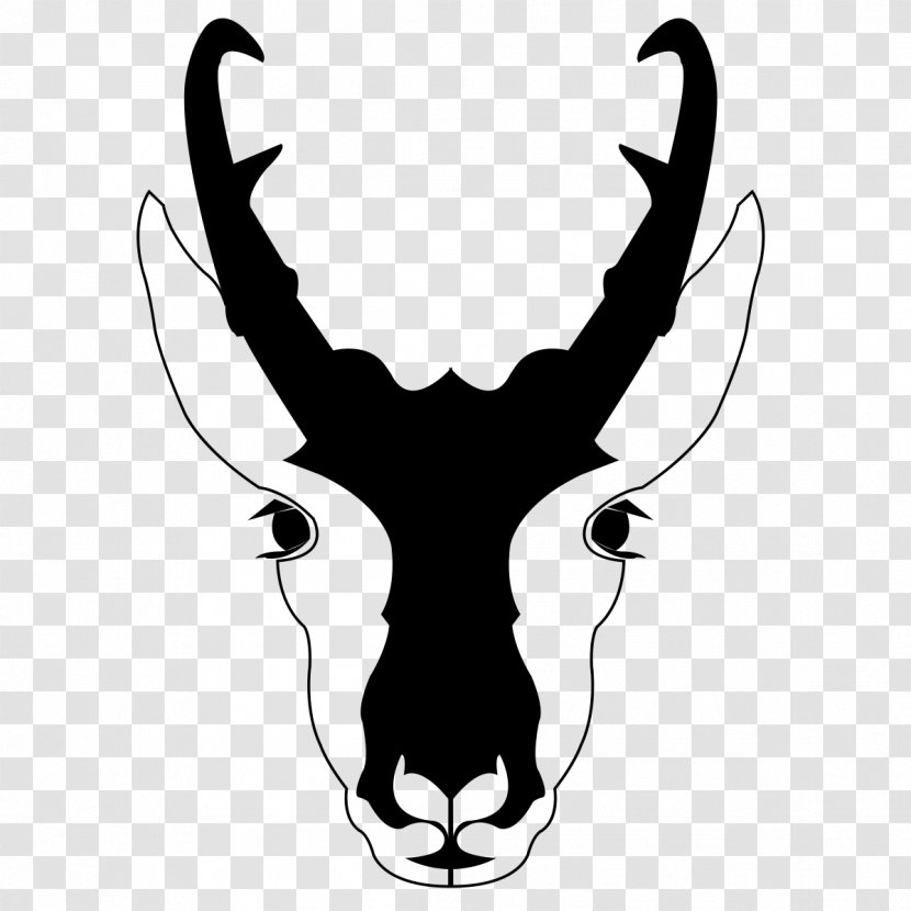 Pronghorn Deer Antelope Clip Art - Drawing Transparent PNG