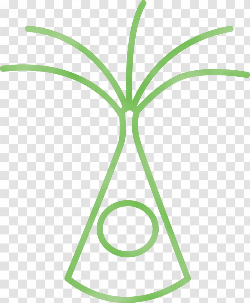 Leaf Plant Stem Grasses Green Meter Transparent PNG