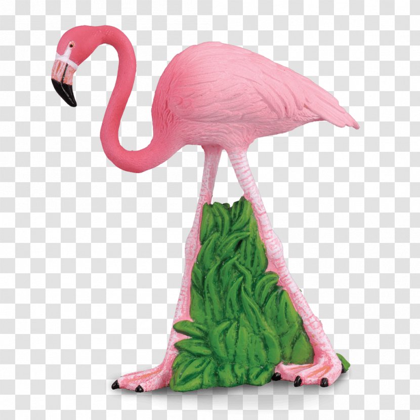 Toy Greater Flamingo Wildlife Horse Collecta Figure - Wombats Shop Transparent PNG