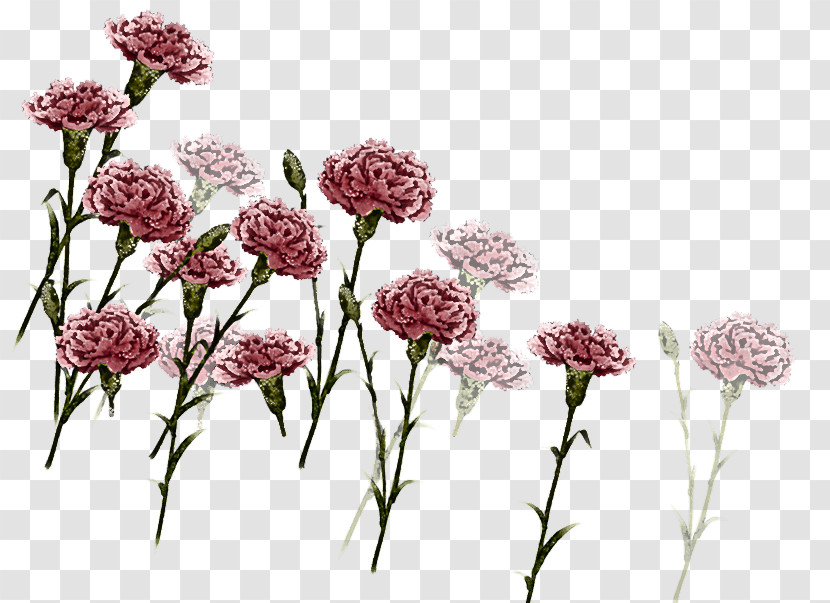 Flower Plant Cut Flowers Plant Stem Rosy Garlic Transparent PNG