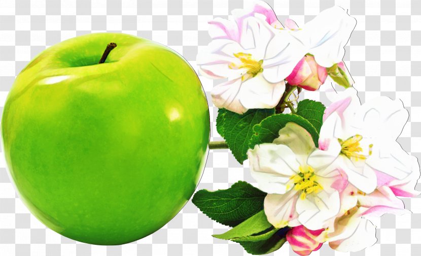 Green Flower - Rose Family Malus Transparent PNG