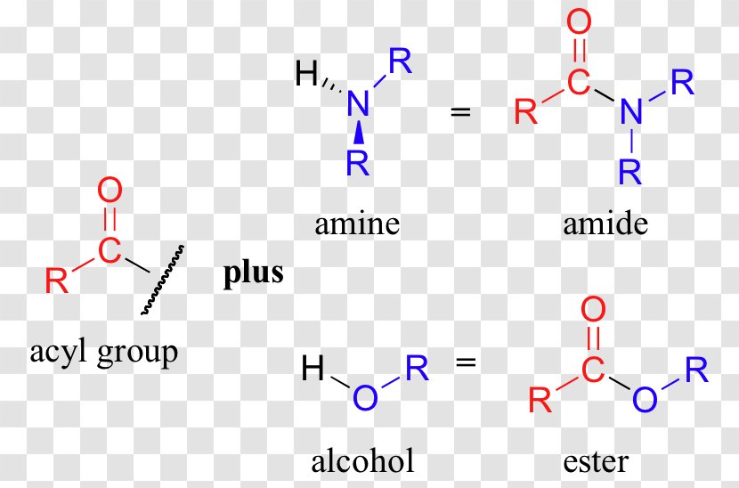 Amide Amine Functional Group Acyl Ester - Rectangle - Plot Transparent PNG