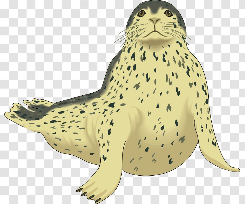 Harp Seal Pinniped Harbor Clip Art - Marine Mammal - Pink Cliparts Transparent PNG