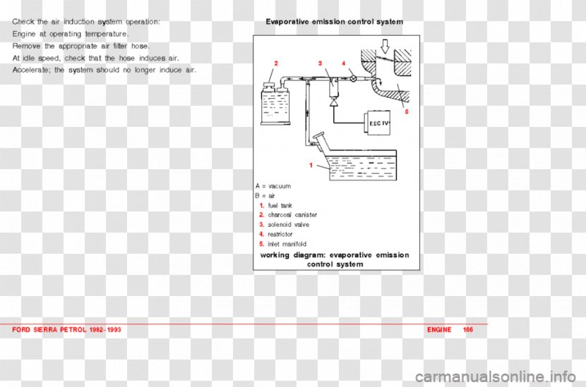 Document Brand - Media - Design Transparent PNG