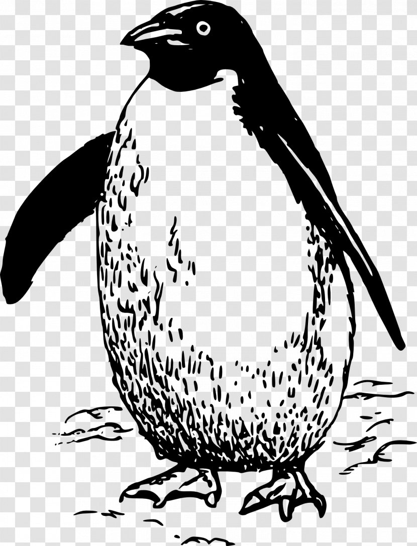 Penguin Bird Clip Art - Monochrome Transparent PNG