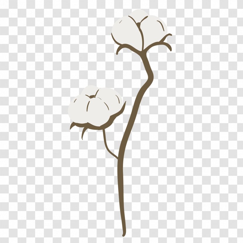 Algodon Vector - Plant - Leaf Transparent PNG