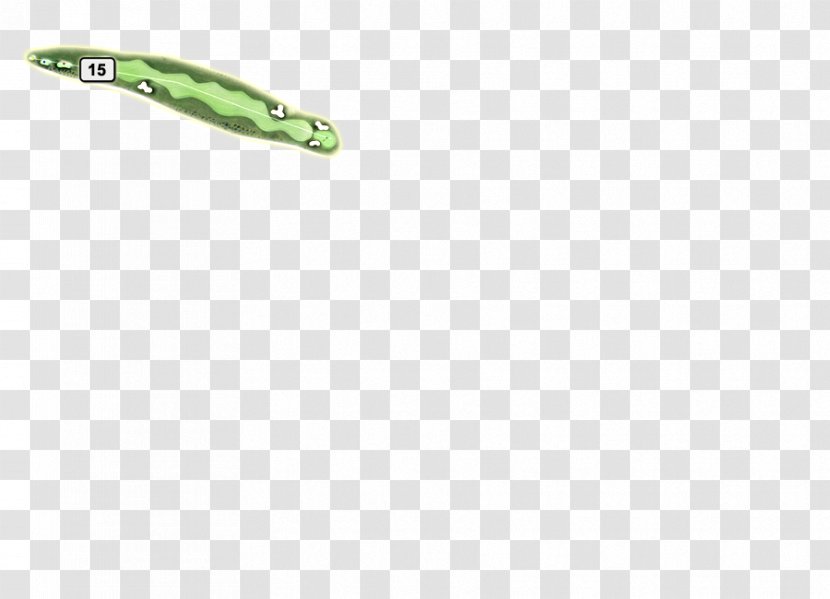 Green - Golf Transparent PNG