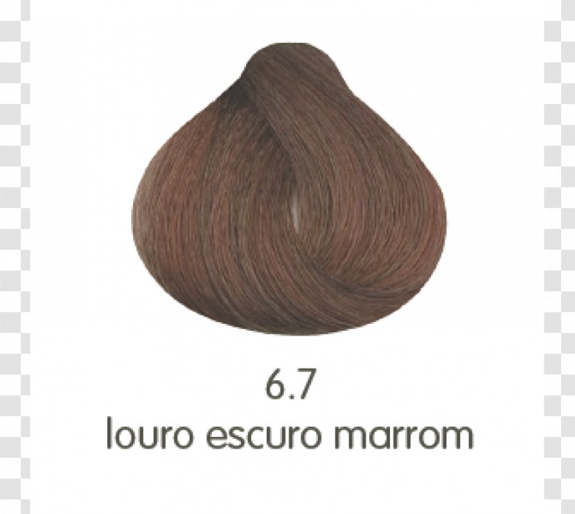 Hair Coloring Caramel Color Brown - Beige - Louro Transparent PNG