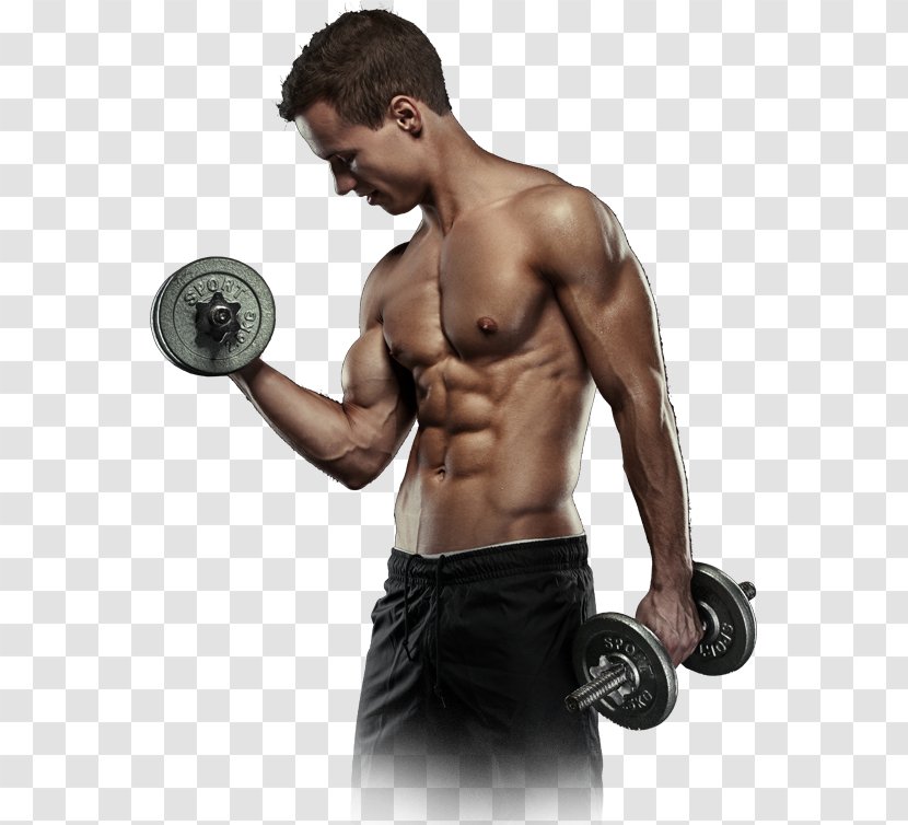 Weight Training Barbell Shoulder - Heart Transparent PNG