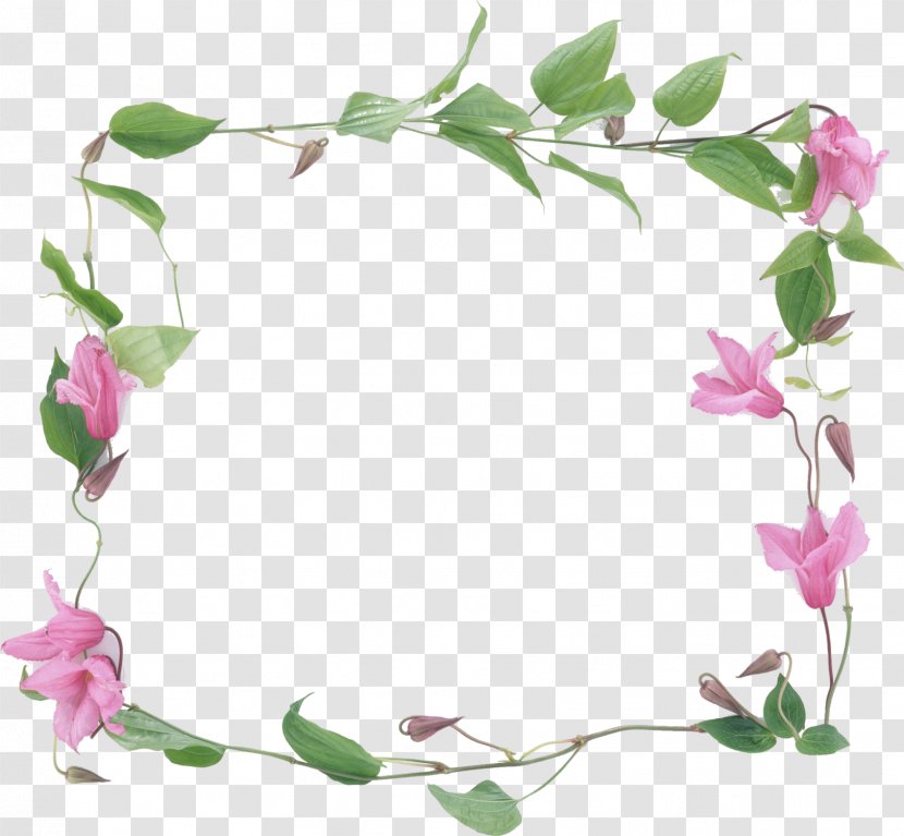 Conte Tea Picture Frames Flower Floral Design - Simple Frame Transparent PNG