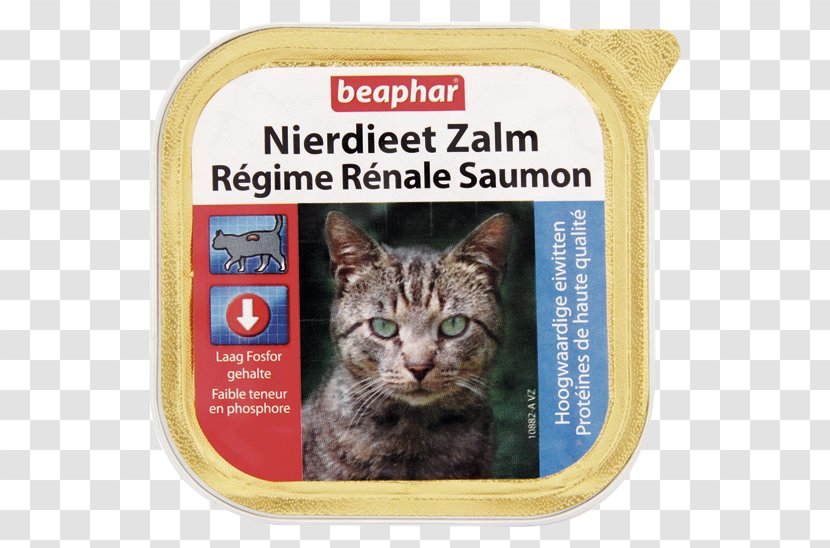 Whiskers Cat Food Dog Tabby - Like Mammal - Netherlands Exports Transparent PNG