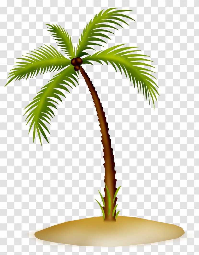 Arecaceae Asian Palmyra Palm Date Flowerpot Coconut - PARADİSE Transparent PNG