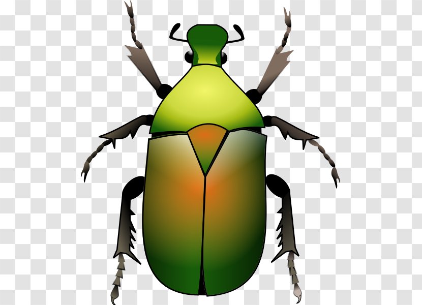 Clip Art Volkswagen Beetle New - Invertebrate - Green Transparent PNG