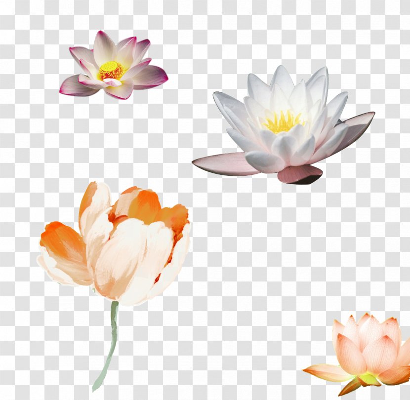 Paper Flower Watercolor Painting Floral Design Poster - Petal - Great Creative Lotus Transparent PNG