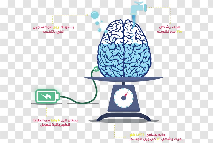 Human Brain Anatomy Artificial - Flower - Infographic Transparent PNG