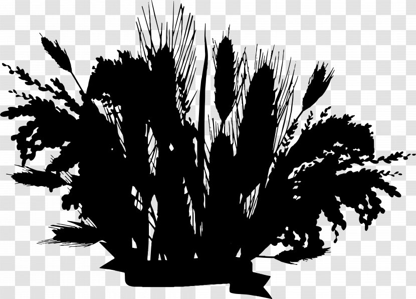 Grasses Commodity Font Silhouette Leaf - Blackandwhite - Tree Transparent PNG