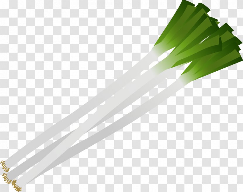 Allium Fistulosum Vegetable Leaf Salad - Grass - Food Posters Transparent PNG