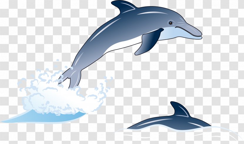 Common Bottlenose Dolphin Short-beaked Rough-toothed Tucuxi White-beaked - Whitebeaked - Hand Painted Blue Transparent PNG