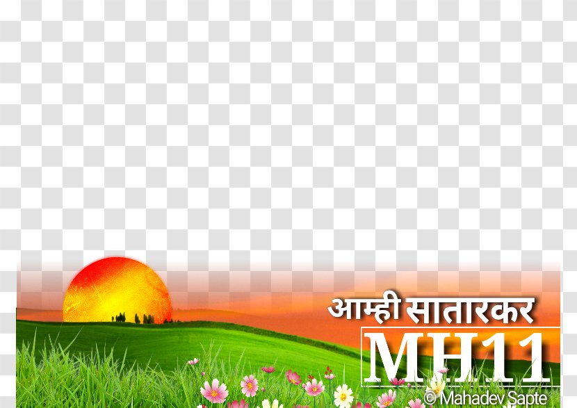 Jejuri State Bank Of India ATM Desktop Wallpaper Grassland - Computer - Mahadev Transparent PNG