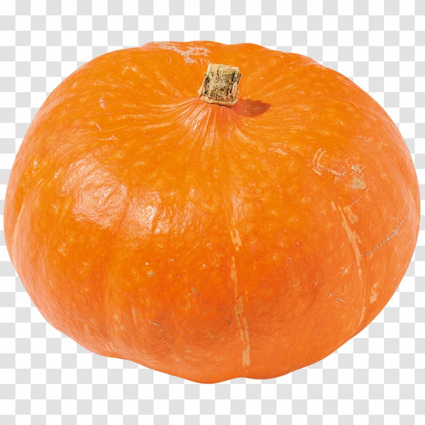 Jack-o'-lantern Winter Squash Gourd Clementine Tangerine - Dynamic Spray Transparent PNG