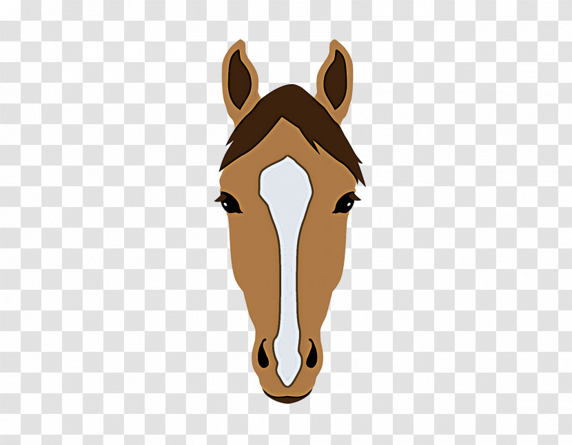 Head Nose Snout Horse Ear Transparent PNG