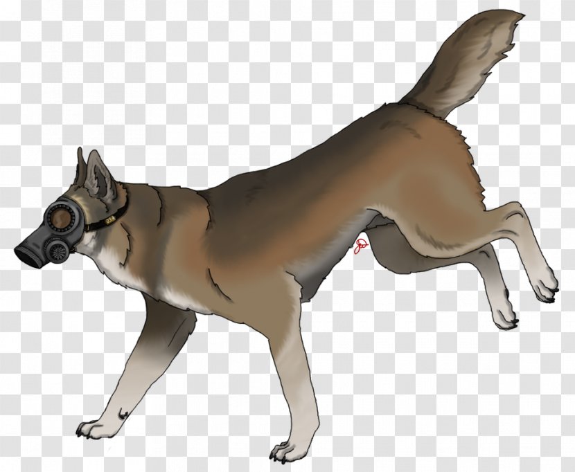 Dog Breed Puppy Snout Transparent PNG