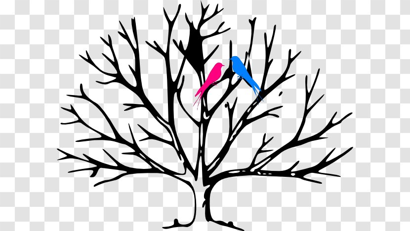 Coloring Book Tree Leaf Trunk Child - Family - Bird Branch Transparent PNG