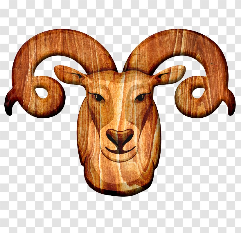 Sheep Goat - Horn Transparent PNG