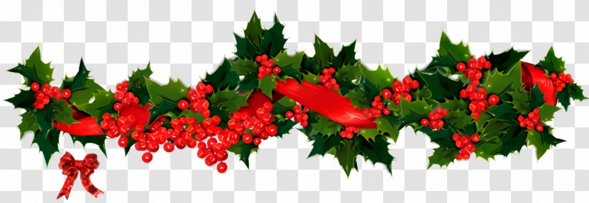 Christmas Holly Ilex - Viburnum Tree Transparent PNG