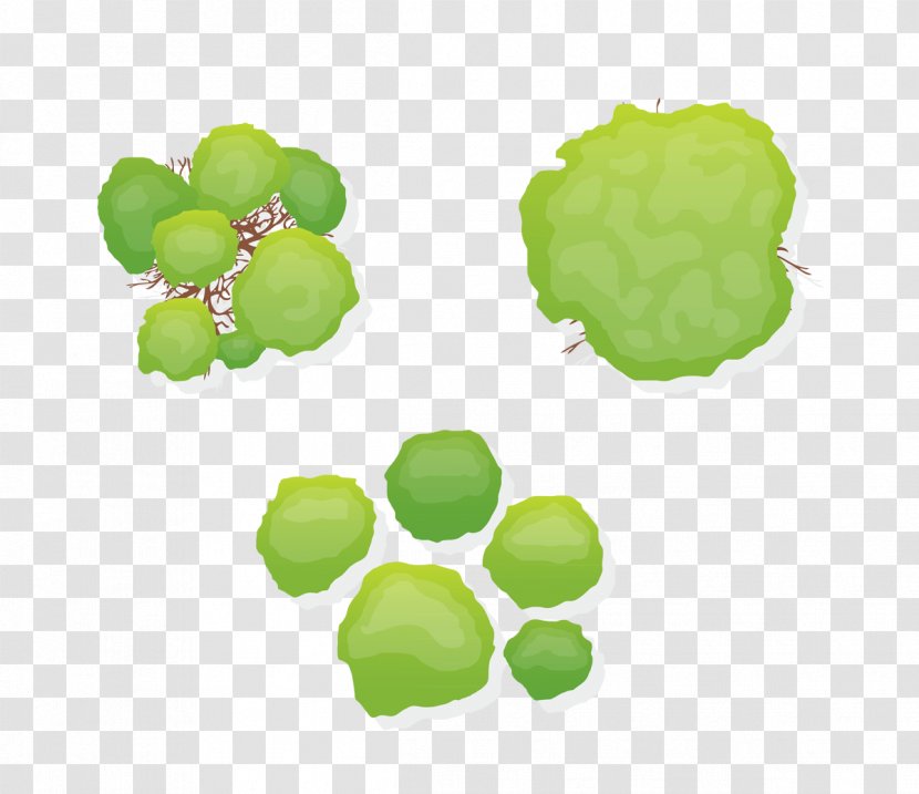 Tree Shrub Royalty-free Clip Art - Silhouette - Green Jungle Transparent PNG