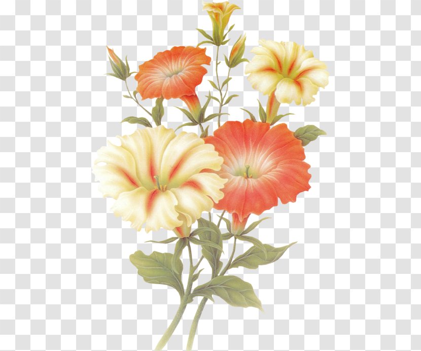 Orkut Floral Design Flower Love Spring - Blog Transparent PNG