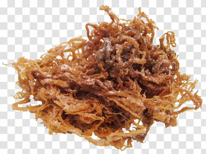 Irish Moss Seaweed Algae Cuisine - Dish Transparent PNG