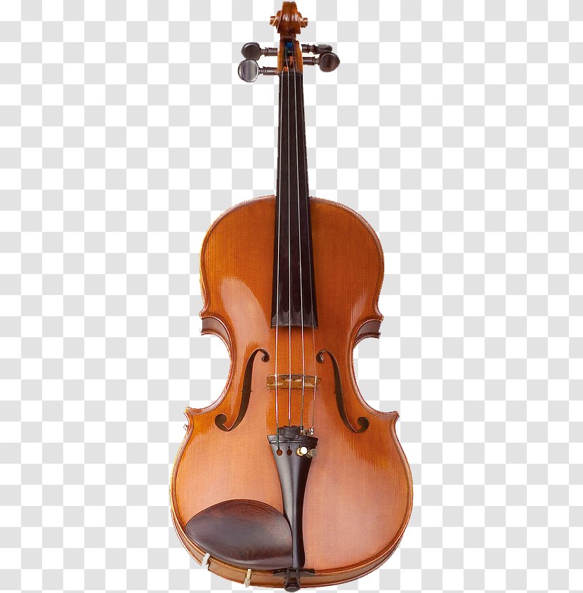 Violin Stock Photography Royalty-free Musical Instrument - Tree - Guitar Transparent PNG