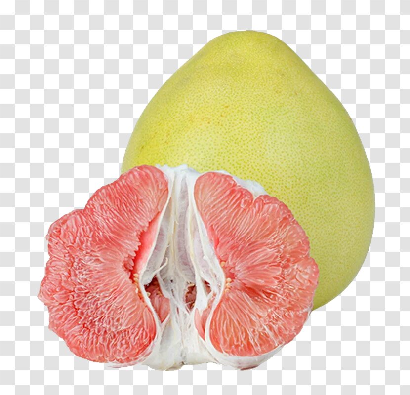 Grapefruit Pomelo Yuja-cha Citrus Junos - Fruit - Red Pull Material Free Transparent PNG