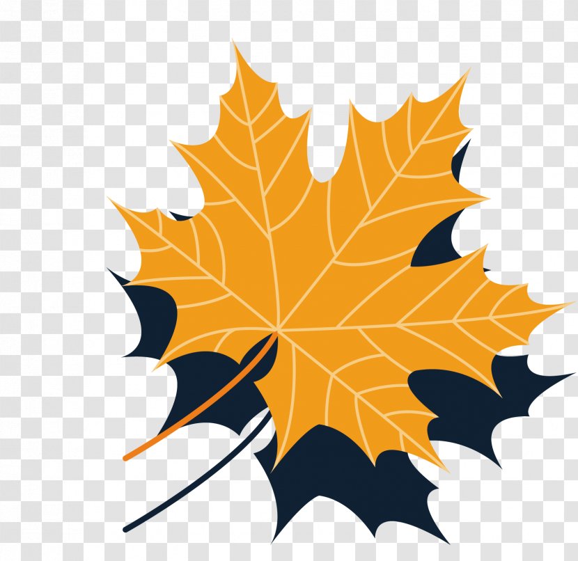 Maple Leaf Autumn - Leaves Collection Vector Material Transparent PNG