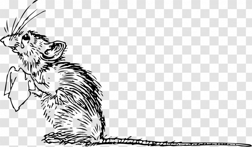 Computer Mouse Clip Art - Dog Like Mammal - Rat Transparent PNG
