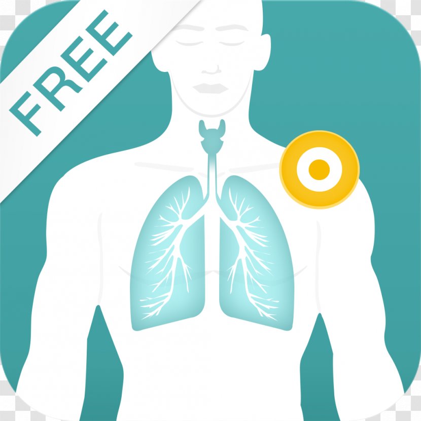 Acupressure Points - Silhouette - Free Therapy AndroidCough Transparent PNG