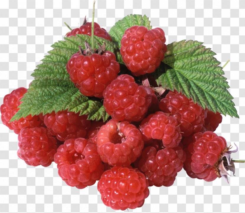 Raspberry Red Mulberry Fruit Strawberry - Berry - 3d Vector Pattern Transparent PNG